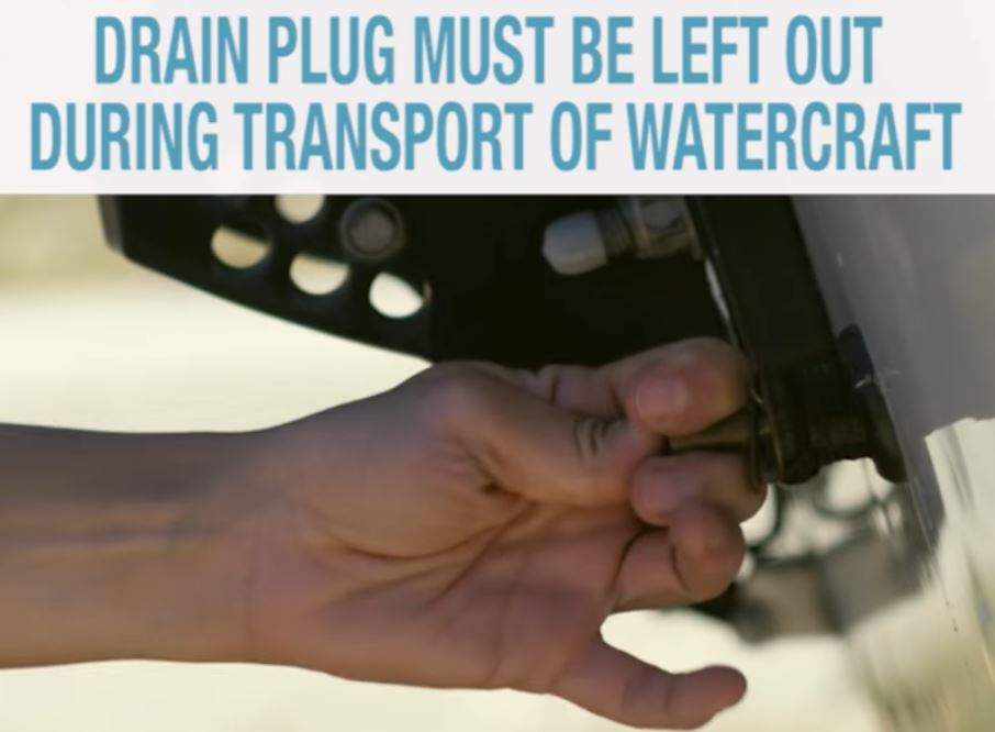 People caught breaking the regulations can be subject to some hefty fines, ranging from $600 for failing to remove the drain plug from a boat to $4,200 for failing to stop at a watercraft inspection station.