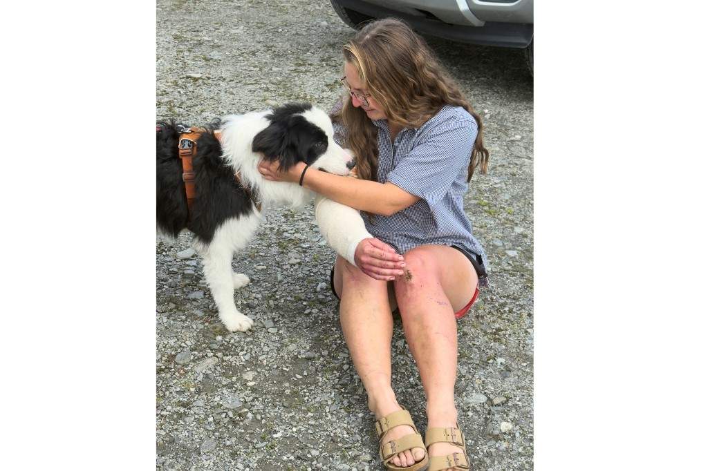 In this photo released by Precision Helicopters Ltd, Molly is reunited with her owner Jessica Johnston after her rescue from a waterfall on the Arahura River on the West Coast of the South Island of New Zealand, Tuesday, March 31, 2026.
