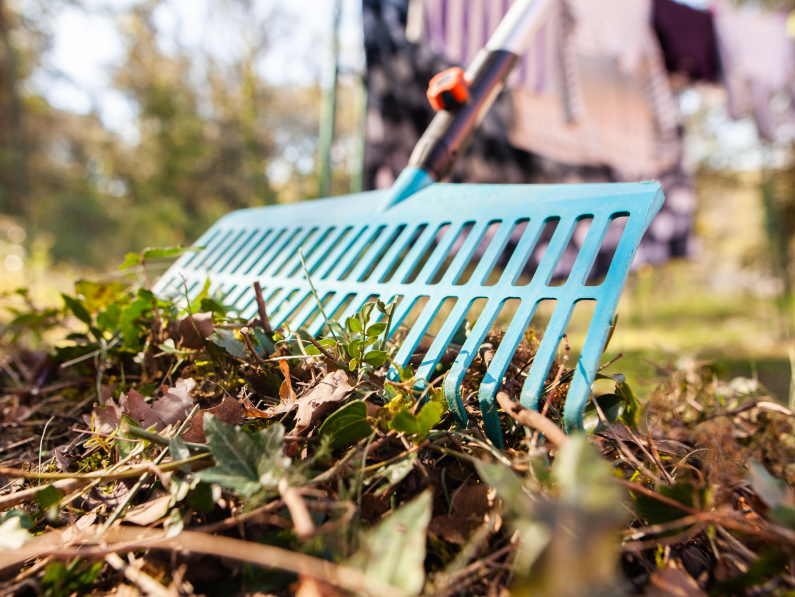 With top-rated products from Dewalt, Veradek, Black & Decker and more, no leaf, twig, or speck of unkept dirt ever stood a chance.