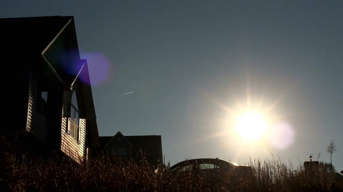 Professor Michael Antle says the morning sun is critical to help reset the body's circadian rhythm on a daily basis.
