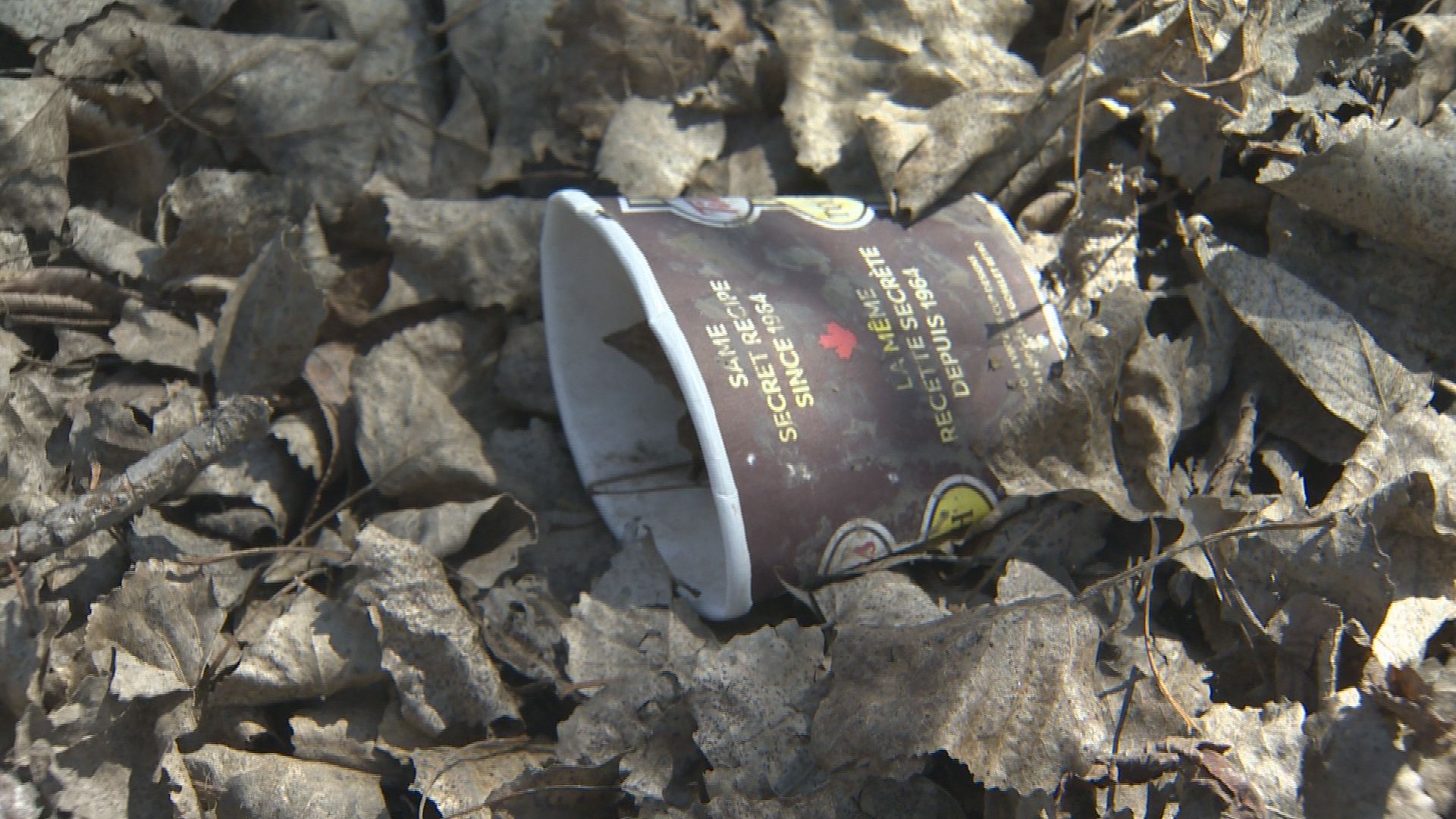 Litter near the Red River