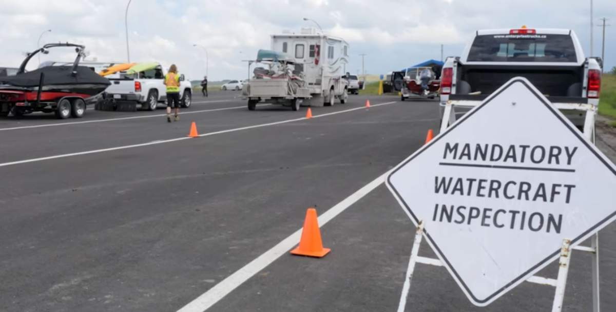 The Alberta government is stepping up the fight against zebra mussels and other invasive aquatic species by adding more watercraft inspection stations and more K-9 inspectors.