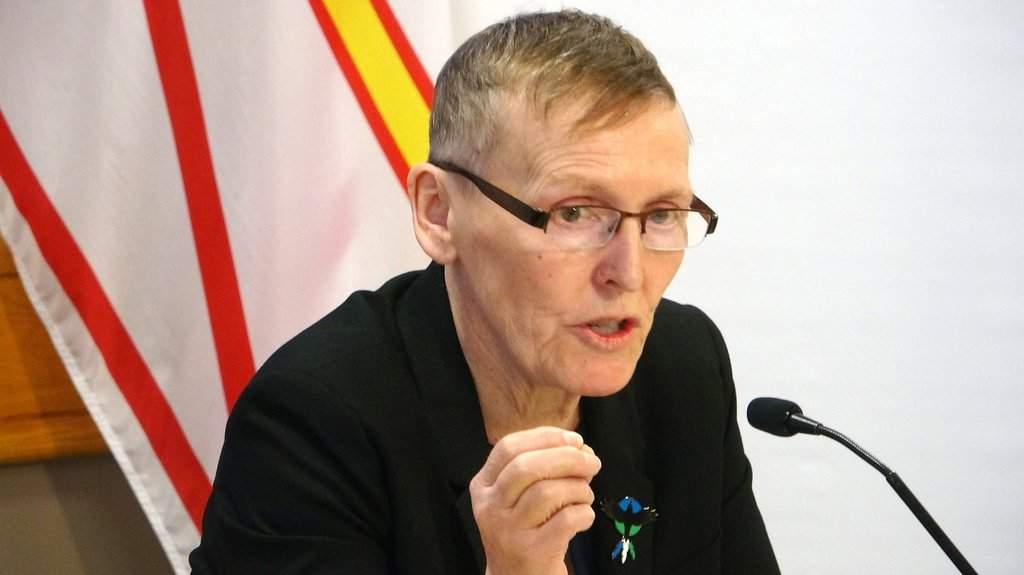 Lela Evans, Newfoundland and Labrador's minister of women and gender equality, speaks to reporters in St. John's, N.L., on April 29, 2026. THE CANADIAN PRESS/Sarah Smellie.