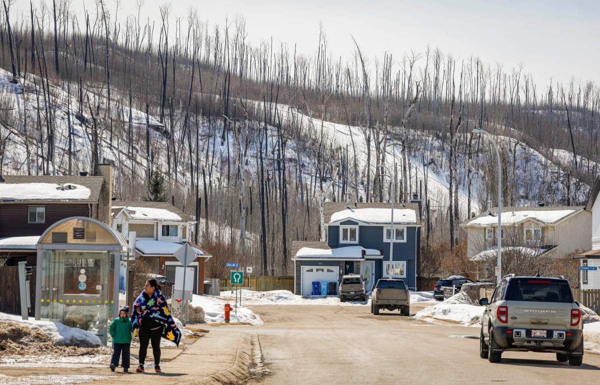 Pedestrians walk through the Grayling Terrace neighbourhood with stumps of burned trees in the background 10 years after a wildfire in Fort McMurray, Alta., Wednesday, April 15, 2026.
