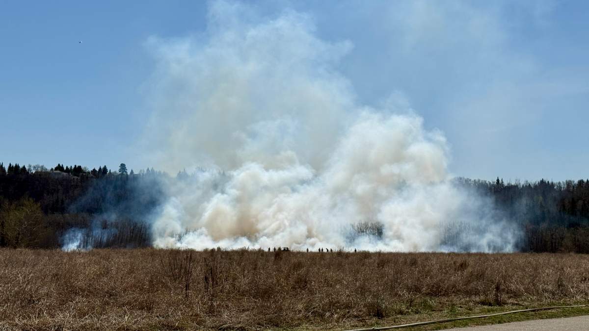 A prescribed burn is conducted in Jan Reimer Park in Edmonton on May 8, 2026.