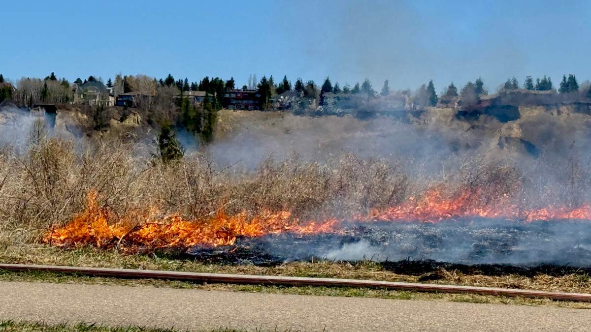 A prescribed burn is conducted in Jan Reimer Park in Edmonton on May 8, 2026.