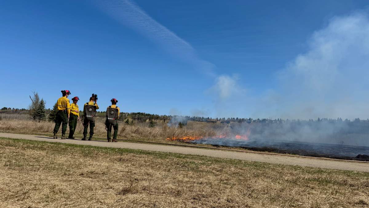 A prescribed burn is conducted in Jan Reimer Park in Edmonton on May 8, 2026.