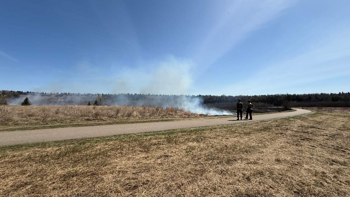 A prescribed burn is conducted in Jan Reimer Park in Edmonton on May 8, 2026.