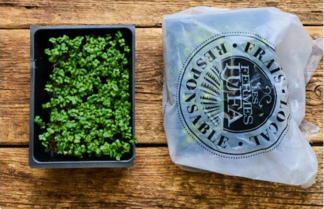 Lufa Farms microgreens recall