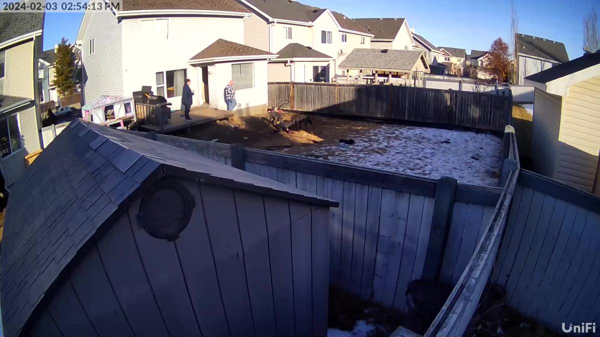Image from video from the day of the attack on Tina Kelepouris in Summerside.