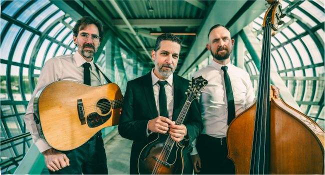 The Andrew Collins Trio - image