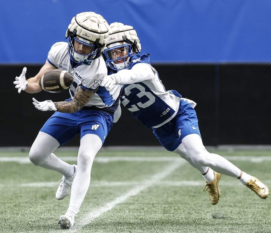 Winnipeg Blue Bombers' Trey Vaval (23) defends against Joey Corcoran (81) during their CFL football training camp in Winnipeg on Monday, May 11, 2026. THE CANADIAN PRESS/John Woods.