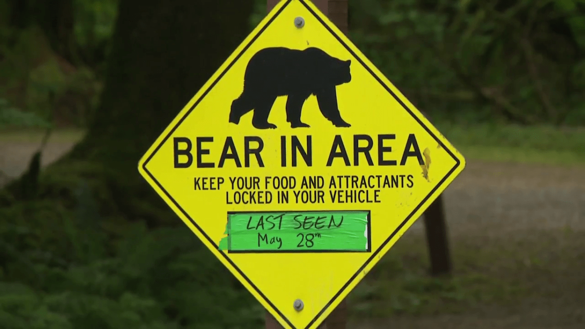 A sign in Golden Ears Park warning about a bear in the area.
