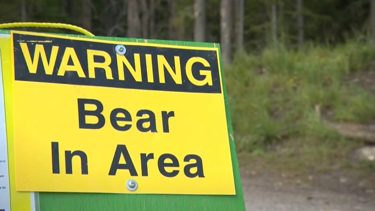 Alberta Parks has issued bear advisories for several areas in Kananaskis Country after two people were bluff charged by a bear in separate incidents.