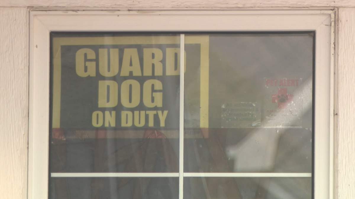 The trial is underway in Edmonton for owner of two dogs that mauled an 11-year-old B.C. boy to death in April 2024.