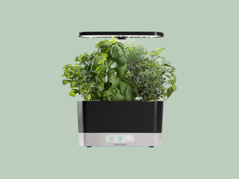 Shop these finds from Simons, Veradek and more to get growing.