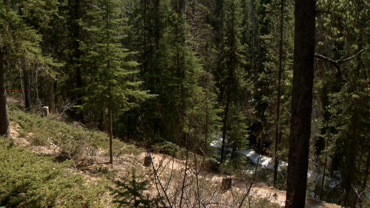 Parks Canada is also advising anyone who intends to continue to search for the missing man to "remain on designated trails for their own safety and the safety of others, and not to put themselves at risk by going off trail."