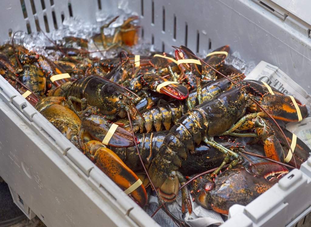 A crate of lobsters sits on the sidewalk outside the legislature in Halifax on Friday, Oct. 16, 2020. THE CANADIAN PRESS/Andrew Vaughan.