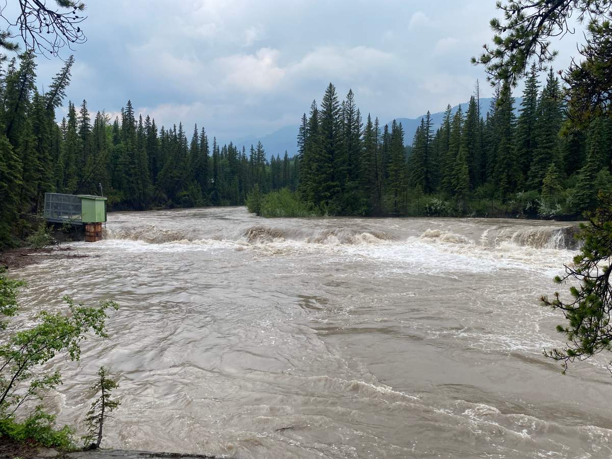 A photo of the raging Kananaskis River, located downstream from Barrier Lake, in an popular day use and hiking area known as the Widowmaker.