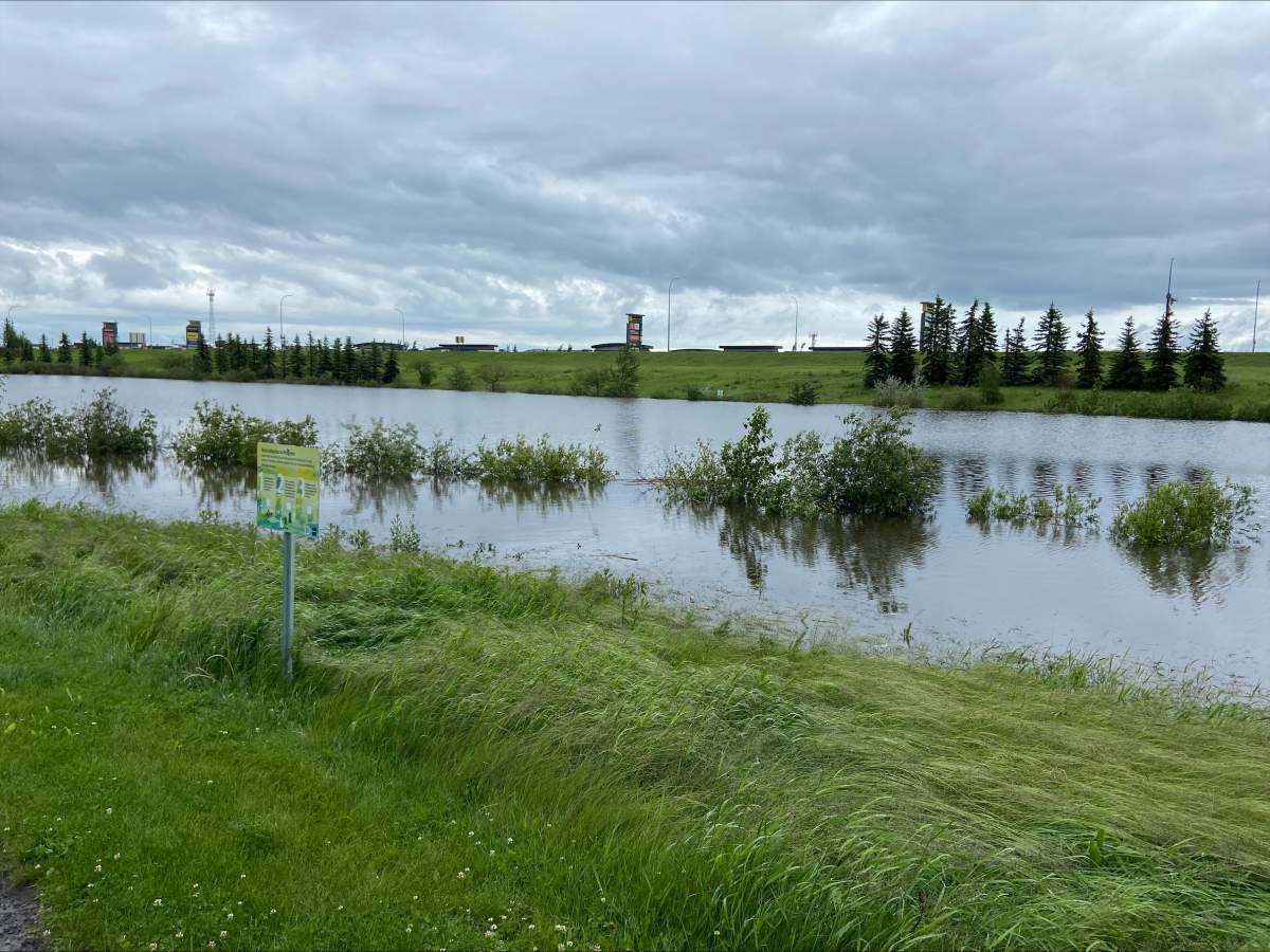 An overflowing stormwater pond in northeast Edmonton’s Manning neighbourhood on Monday, June 22, 2026.