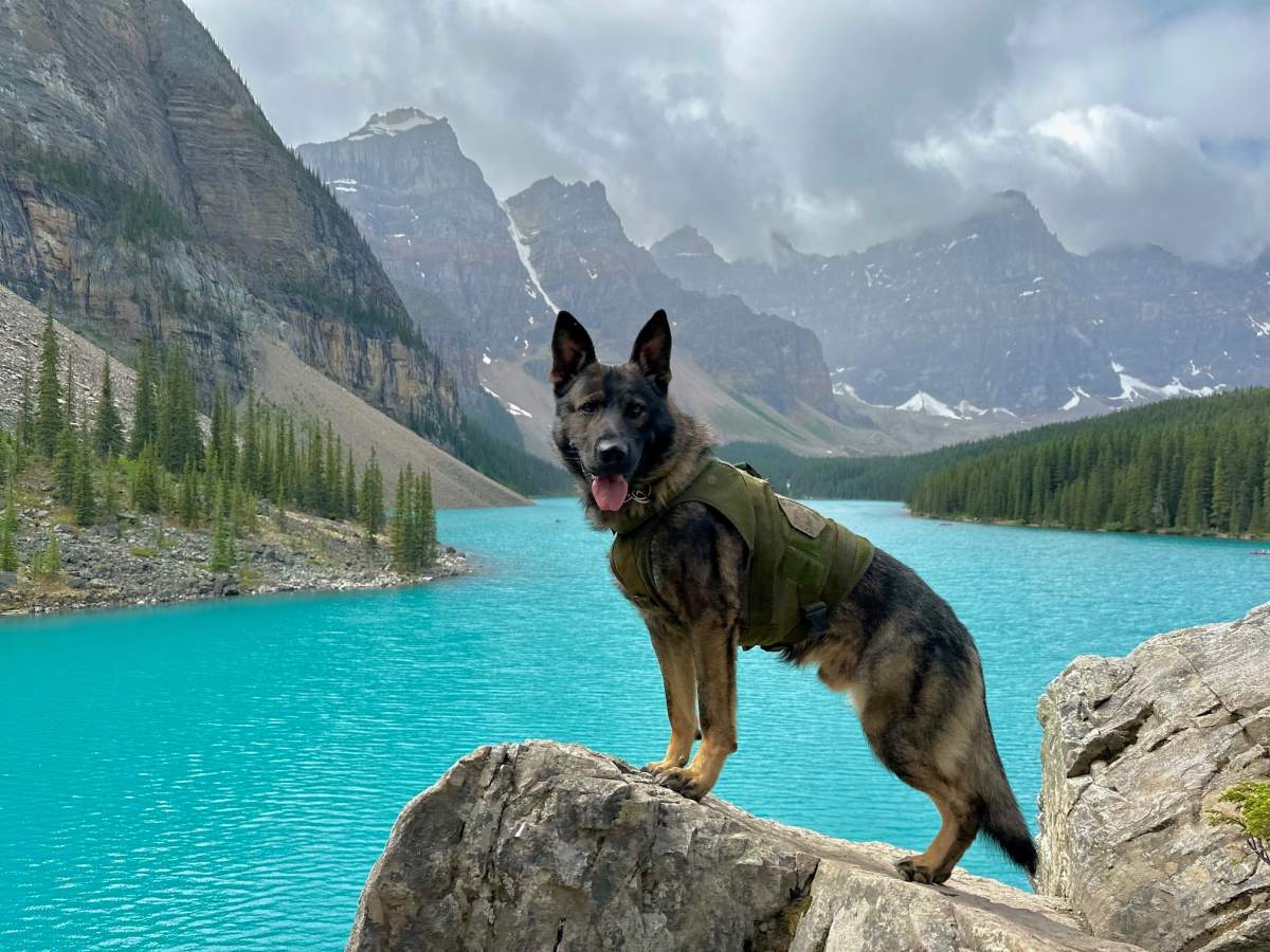 Word of PDS Pascal's injuries has attracted an outpouring of well-wishes on social media.
