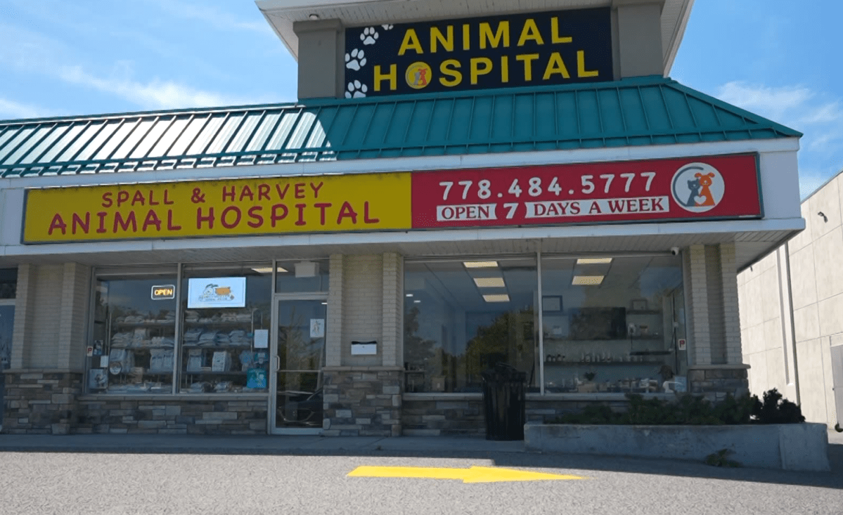 The veterinary clinic that is taking care of Lucky
