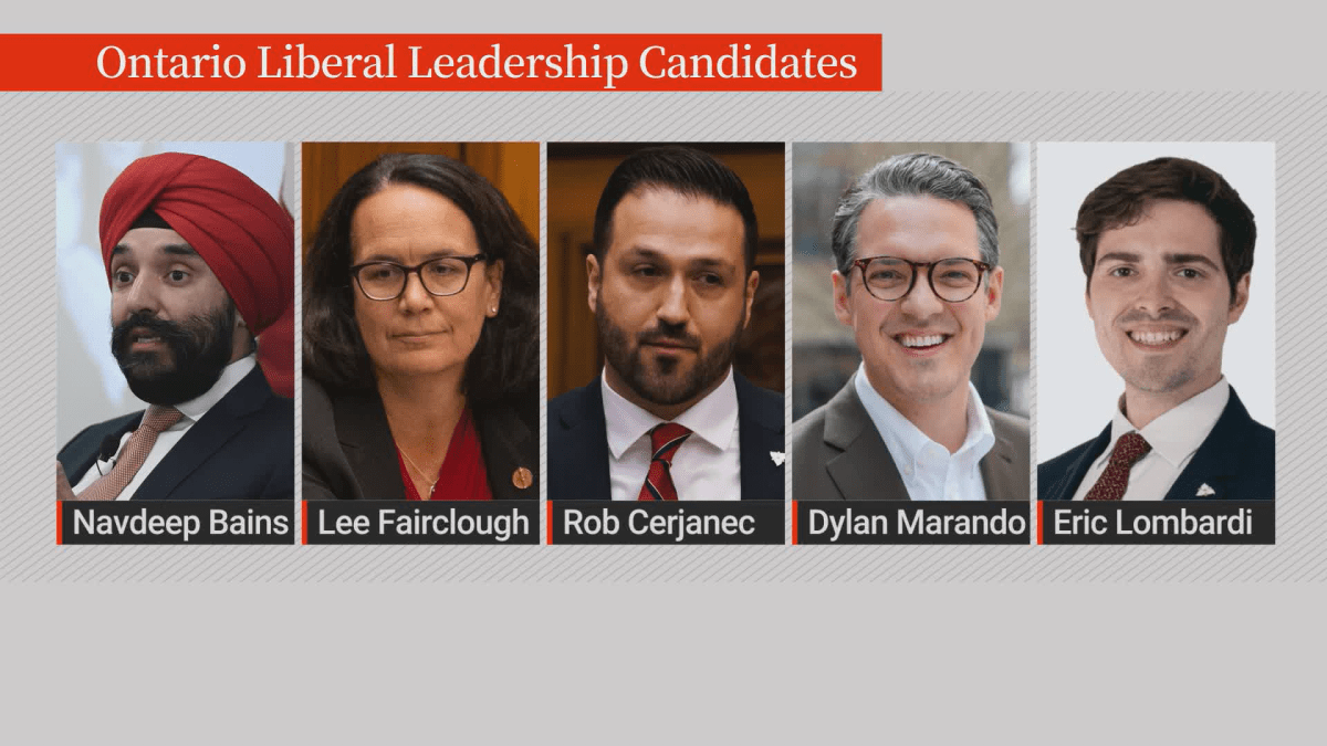 2026 Ontario Liberal leadership candidates.