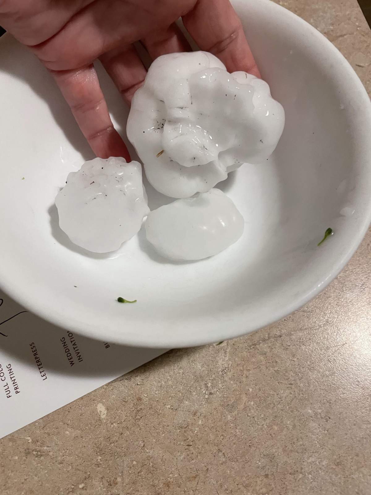 Hail from the East Kildonan area/Susan Lach
