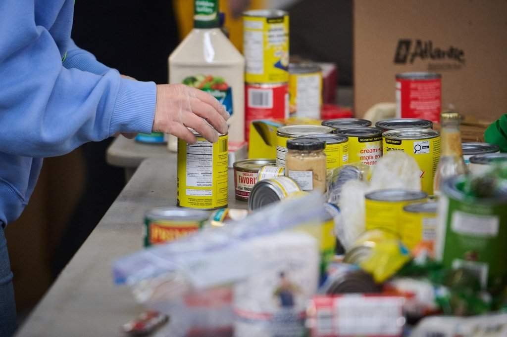 Volunteers sort and pack food donations at the Daily Bread Food Bank's spring public food sort in Toronto, on Saturday, April 4, 2026. THE CANADIAN PRESS/Sammy Kogan.