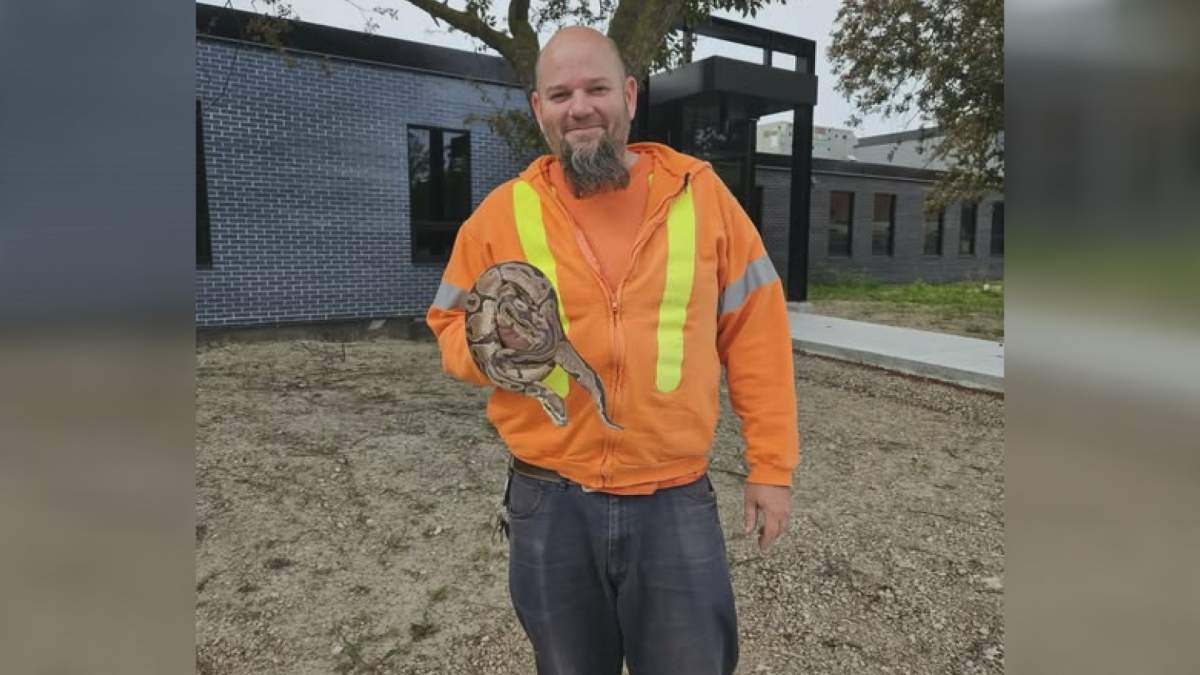 Jeff Miller holds a ball python he rescued from the Little River Pollution Control Plant in Windsor, Ont.
