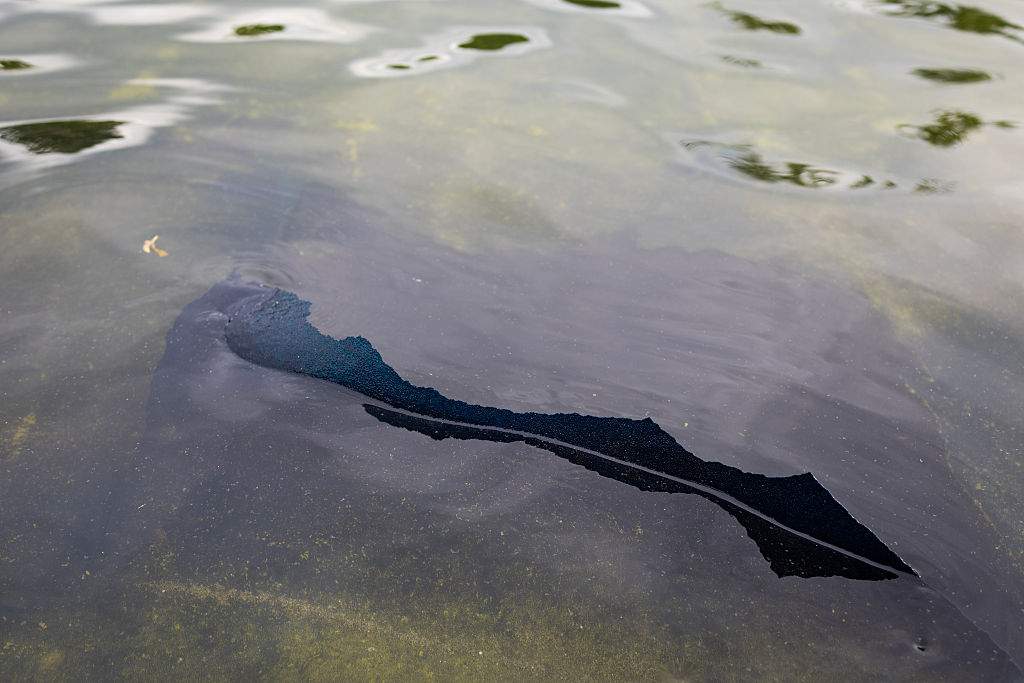 A piece of the new blue paint, a part of President Donald Trump's renovation, peels off from the bottom of the Lincoln Memorial's Reflecting Pool on June 18, 2026, in Washington, DC. The algae levels also spiked days after the renovation, which cost around $ 14 million, completed.