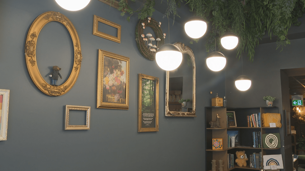 Understory Cafe Interior