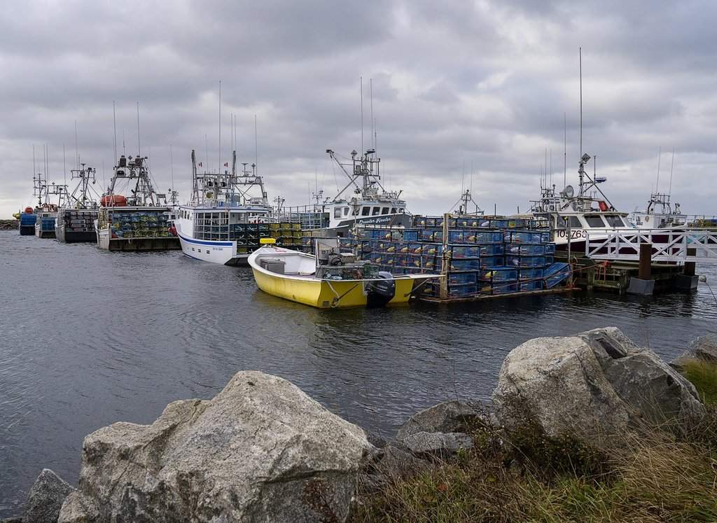 Fishing boats at the wharf in Woods Harbour, N.S. on Saturday, Nov. 26, 2022. THE CANADIAN PRESS/Andrew Vaughan.