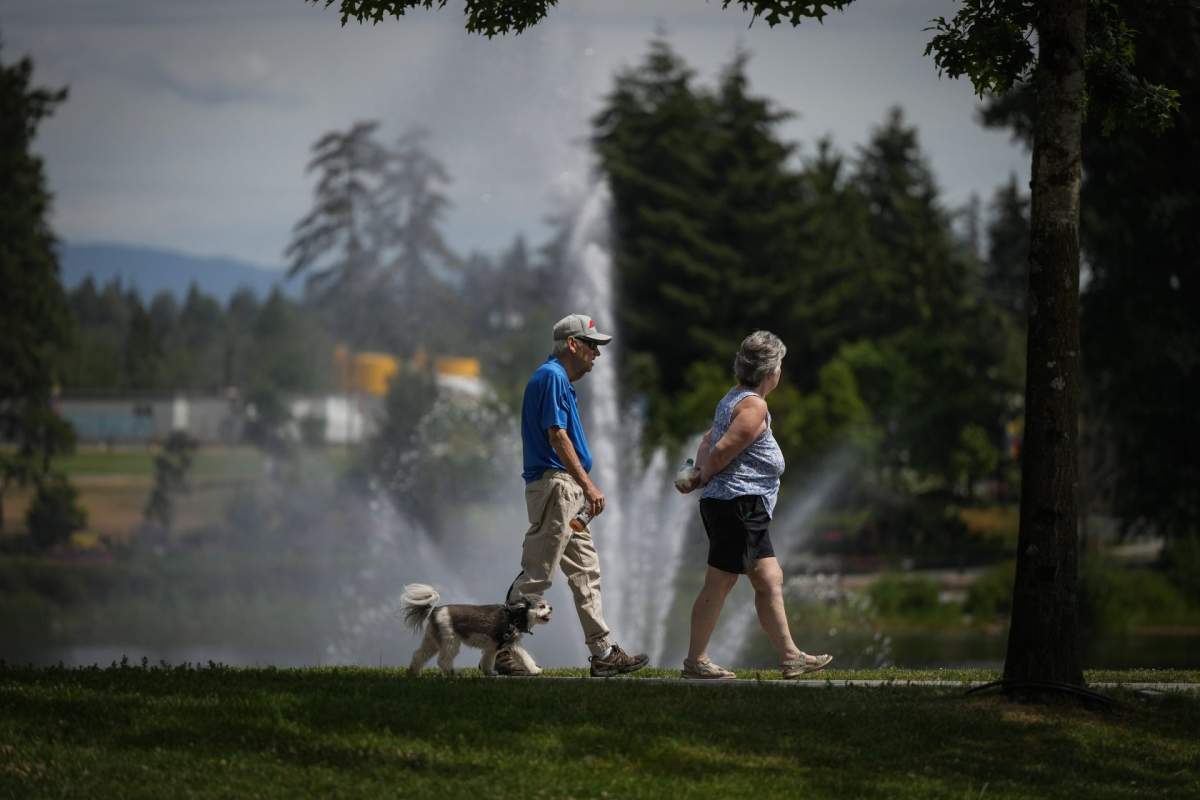 An elderly couple walk a dog