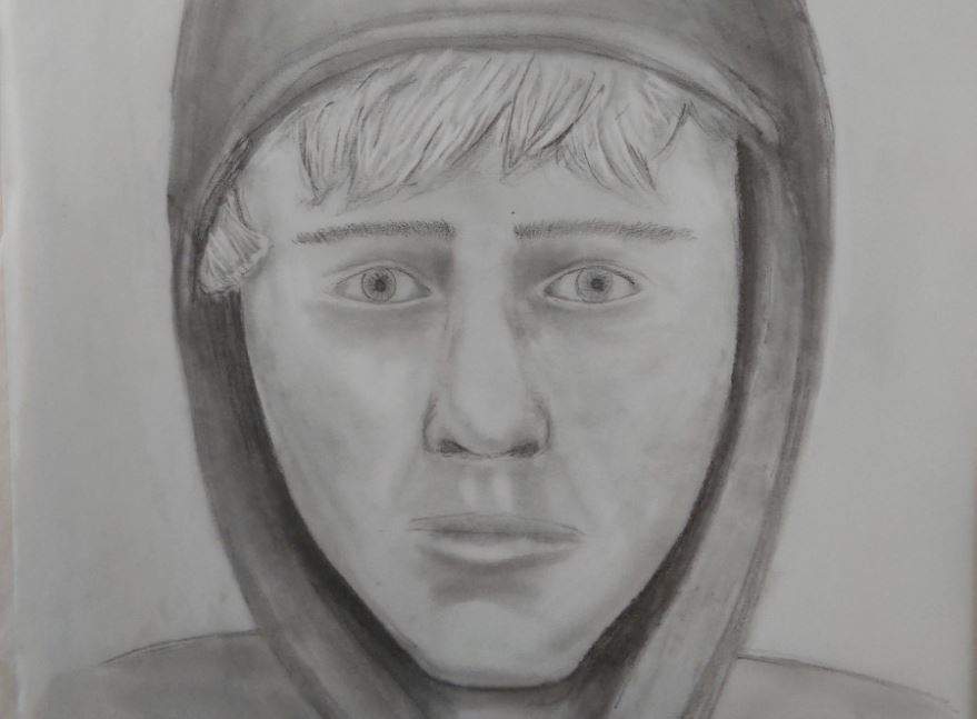 Calgary police have released a sketch of the man wanted in connection with several recent sexual assaults of women in Fish Creek Park.