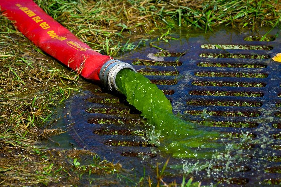 Green water is pumped out of the Lincoln Memorial Reflecting Pool in Washington, June 17, 2026.