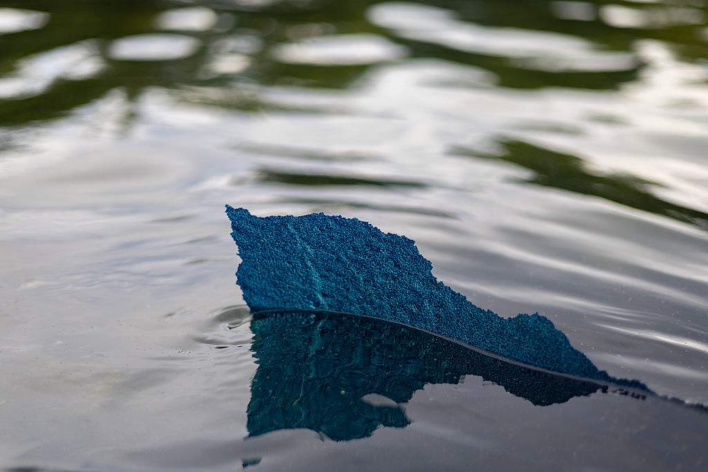 WASHINGTON,DC - JUNE 18: A piece of the new blue paint, a part of President Donald Trump's renovation, peels off from the bottom of the Lincoln Memorial's Reflecting Pool on June 18, 2026, in Washington, DC. The algae levels also spiked days after the renovation, which cost around $ 14 million, completed.