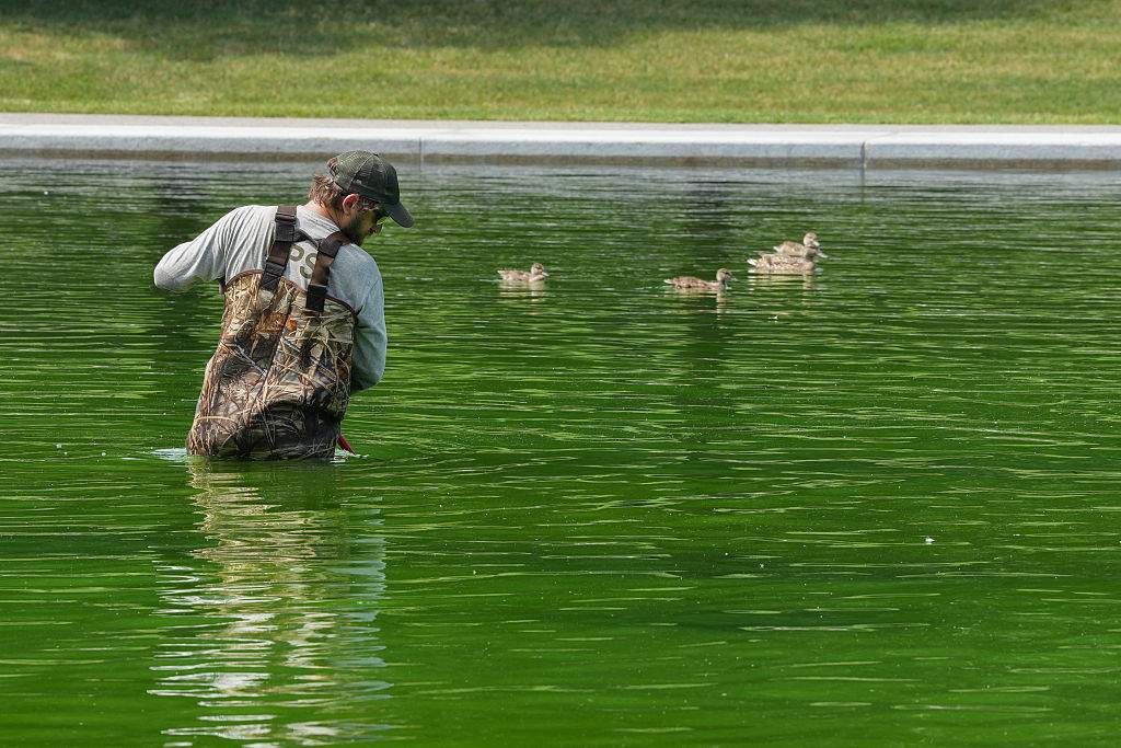 National Park Service workers push algae towards an aeration area in the centre of the Lincoln Memorial Reflecting Pool following the completion of recent renovations in Washington, D.C., on June 14, 2026. The project, undertaken as part of U.S. President Donald Trump’s preparations for the nation’s 250th anniversary, began in April and was completed last week.