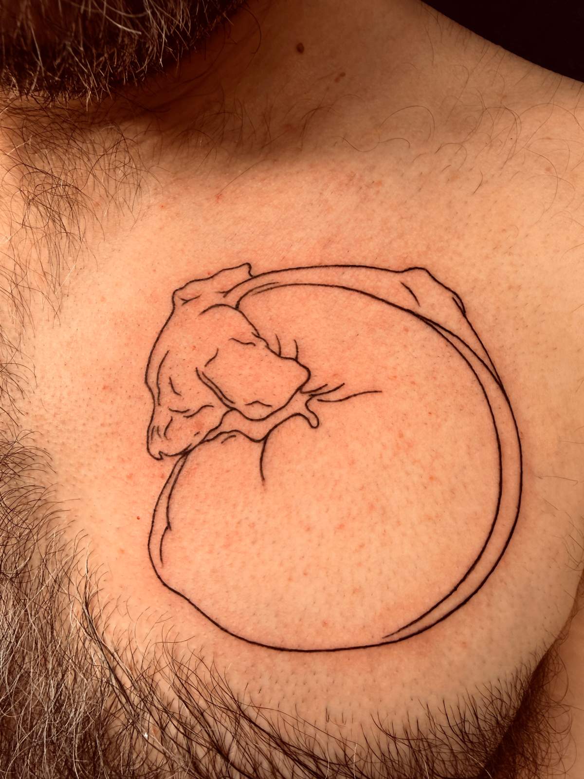 Vincent Masse’s tattoo in honour of his dog, Balthazar.