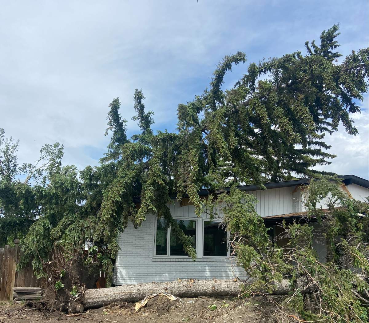 A large trees lies atop a house in the southeast community of Lake Bonavista after the area was hit by a violent microburst of wind and rain Tuesday afternoon.