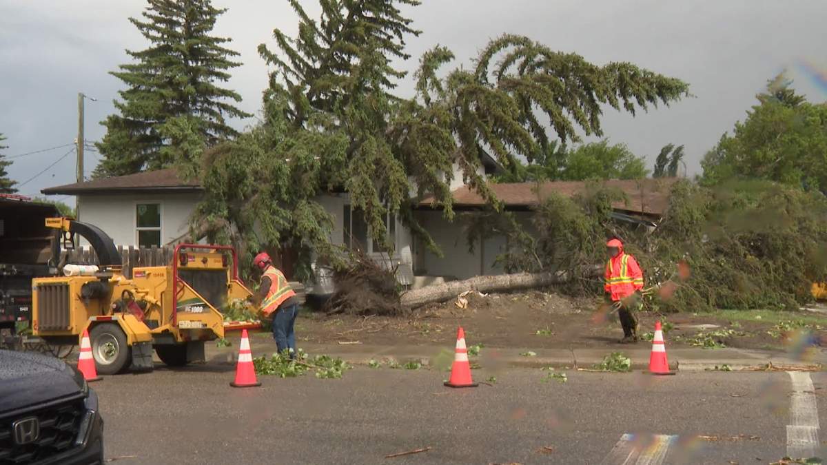 Homeowners in the southeast Calgary community of Lake Bonavista were forced to call in clean up crews following a "microburst" or powerful, localized burst of wind and rain that smashed into the area while Calgary was under a severe thunderstorm watch on Tuesday afternoon.