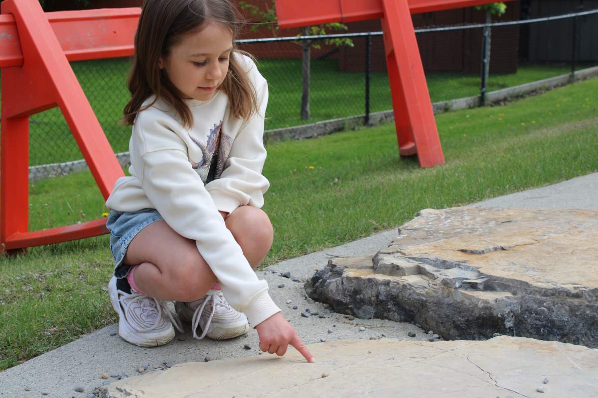 Seven-year-old Alyssa made the disovery in some boulders that were placed in the playground during construction 20-years-ago.