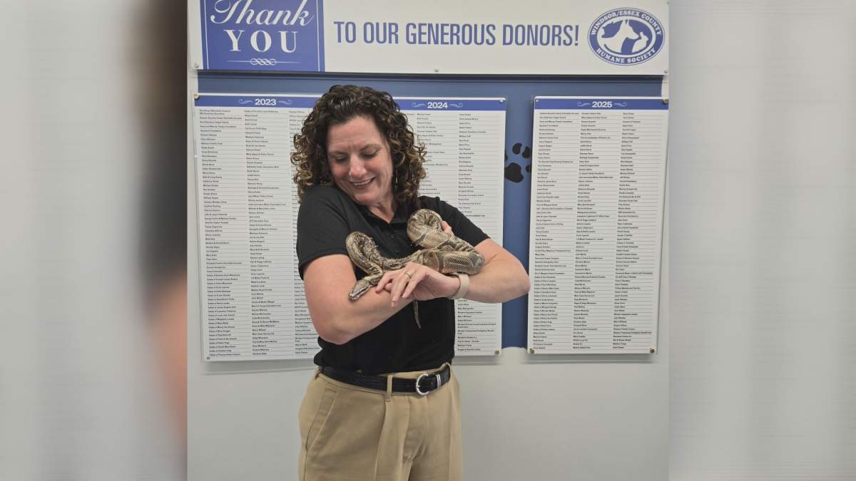 Windsor/Essex County Humane Society executive director Lynnette Bain is pictured holding Peanut the snake, who was rescued from a sewage plant in May.