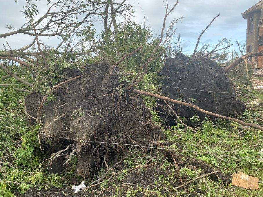 In her 40 years of living in the community, Mayor Shirley Kalyniuk says she's never seen anything like the damage left by Sunday's storm.