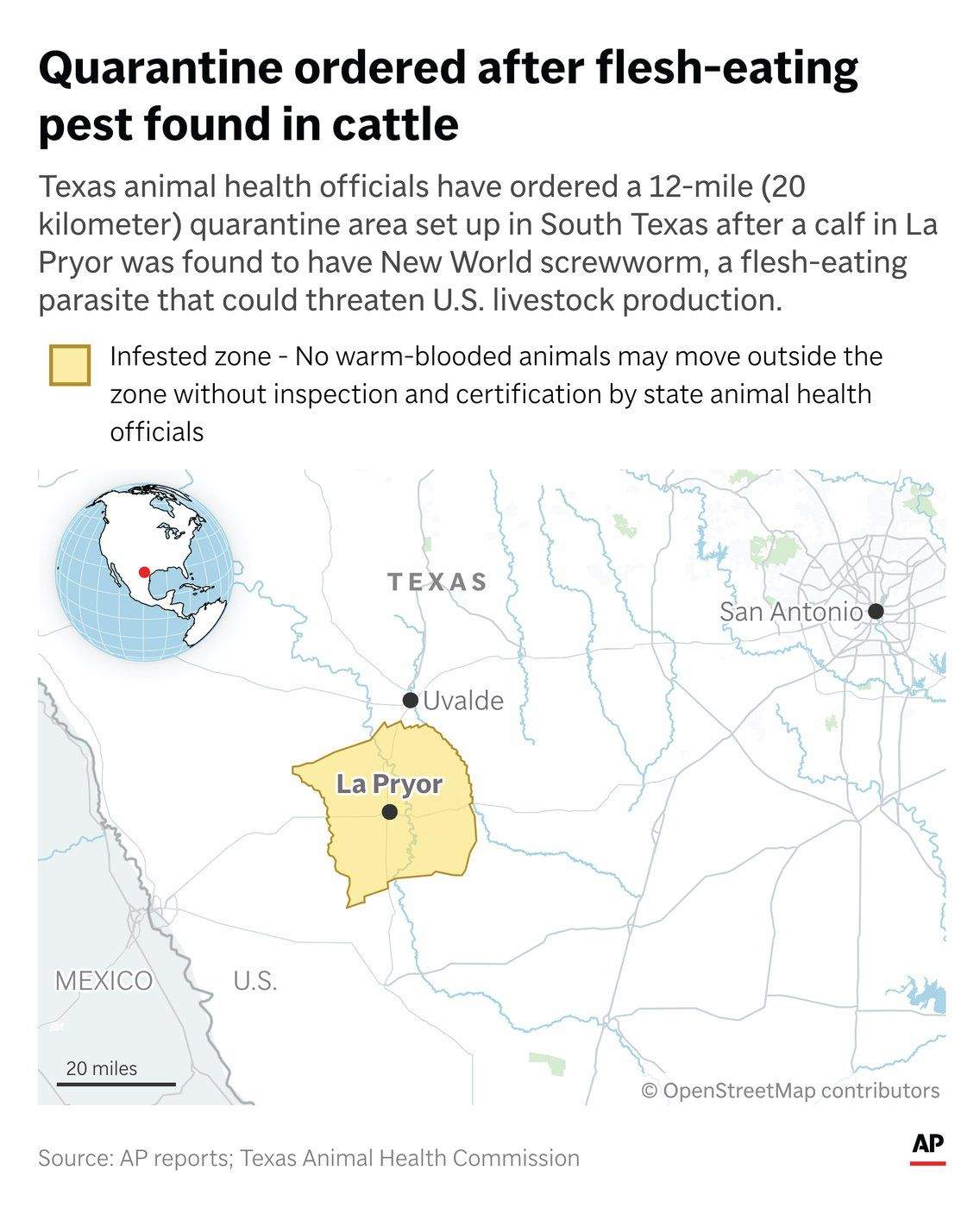 As screwworm spreads in U.S., what to know about the flesh-eating parasite - image