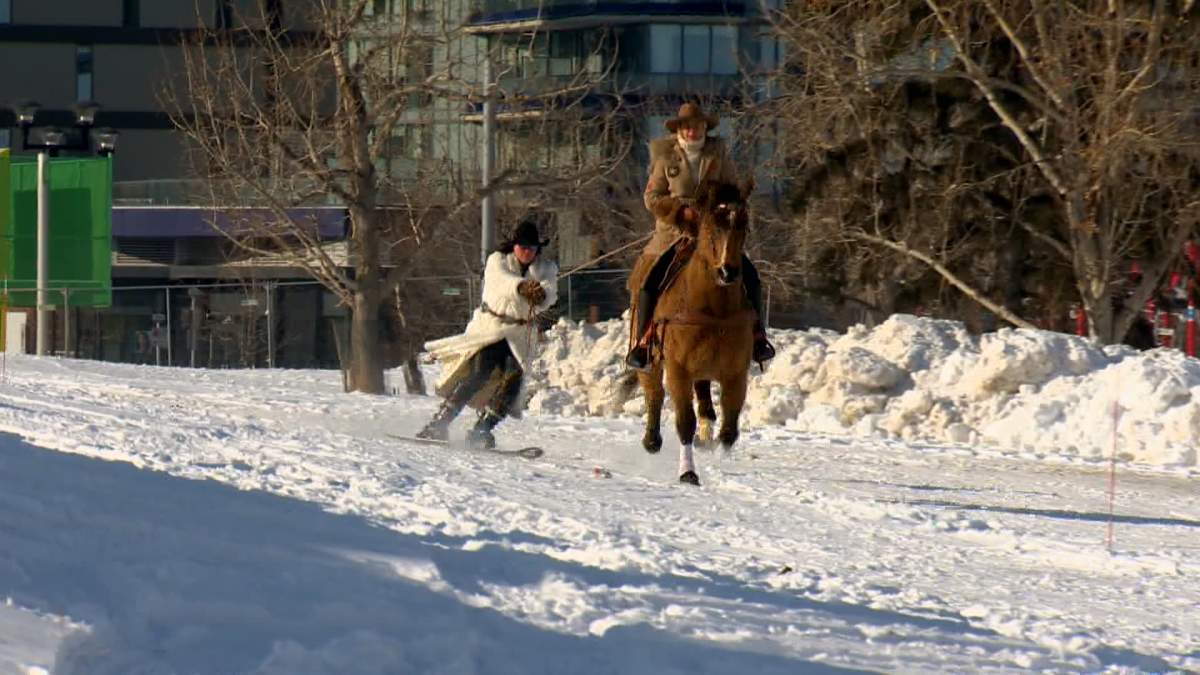 Skijoring Canada claims the sport is the fastest growing winter sport in North America.