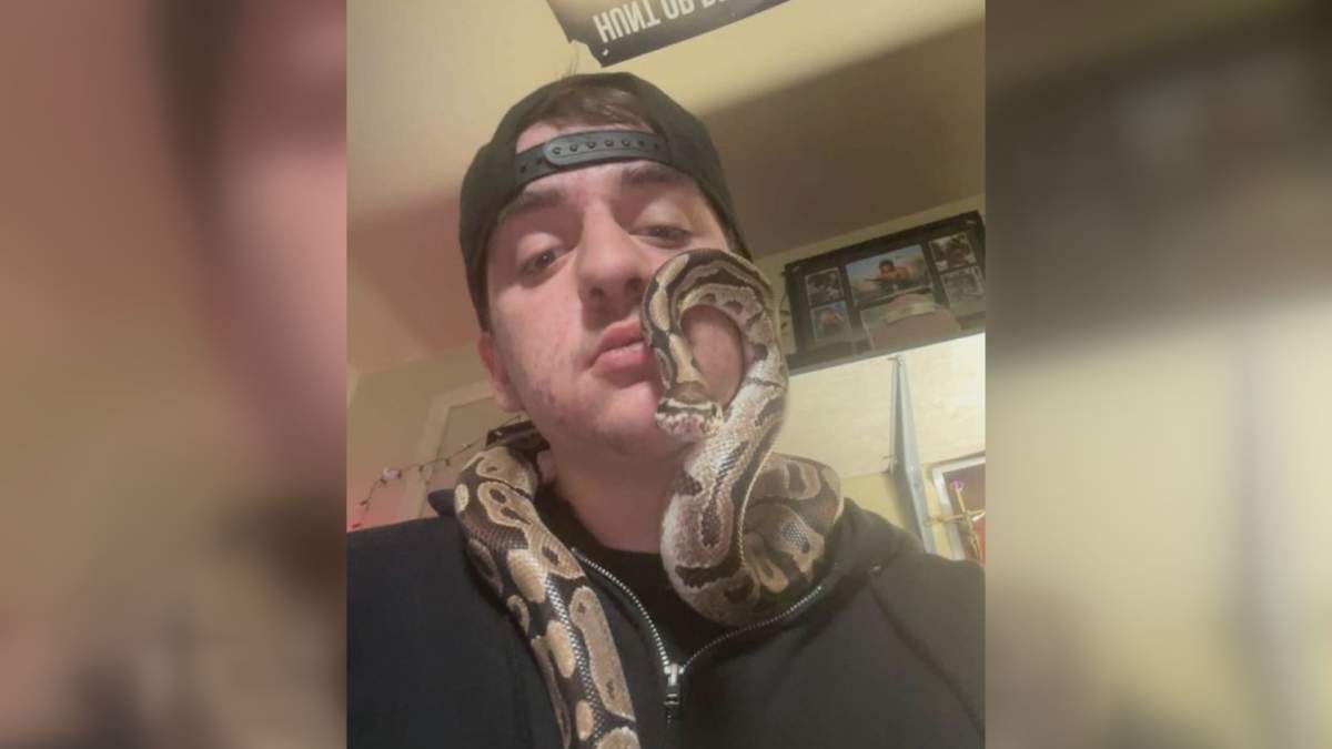 Connor Russette is pictured with Peanut the ball python in a provided photo. Peanut went missing in mid-May but has since been found after being discovered in a sewage plant in Windsor, Ont.