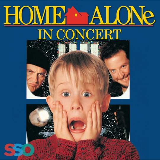 Home Alone - image