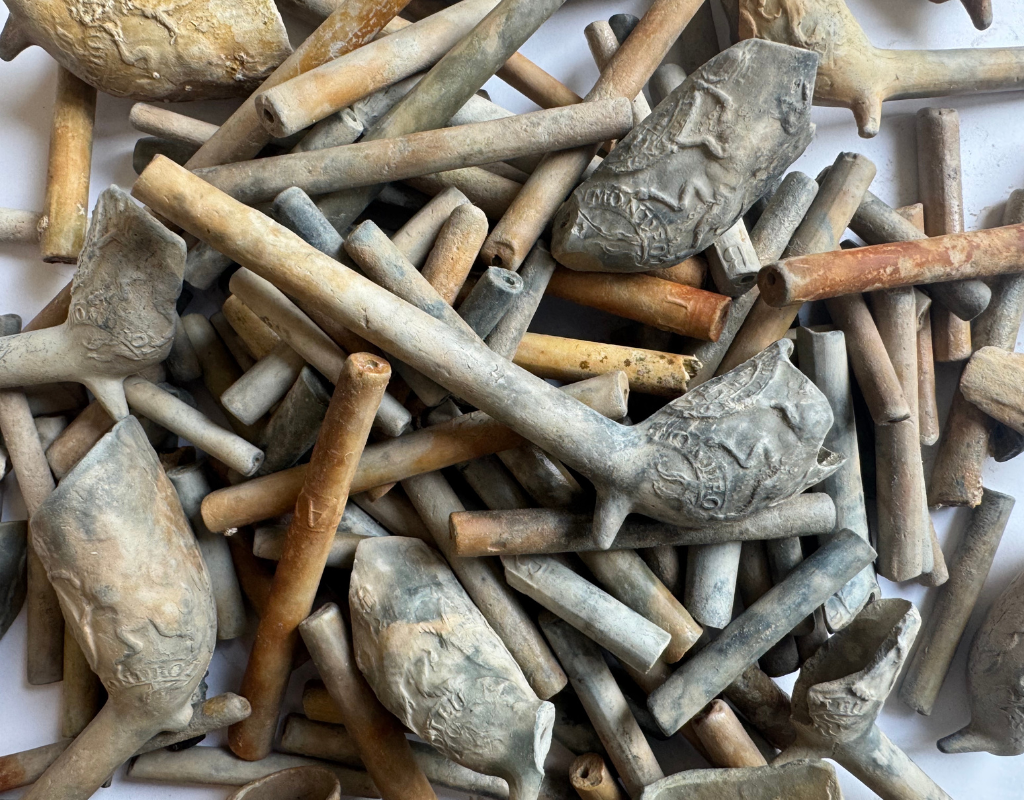 Tobacco pipes discovered on a pirate shipwreck off the coast of Nassau.