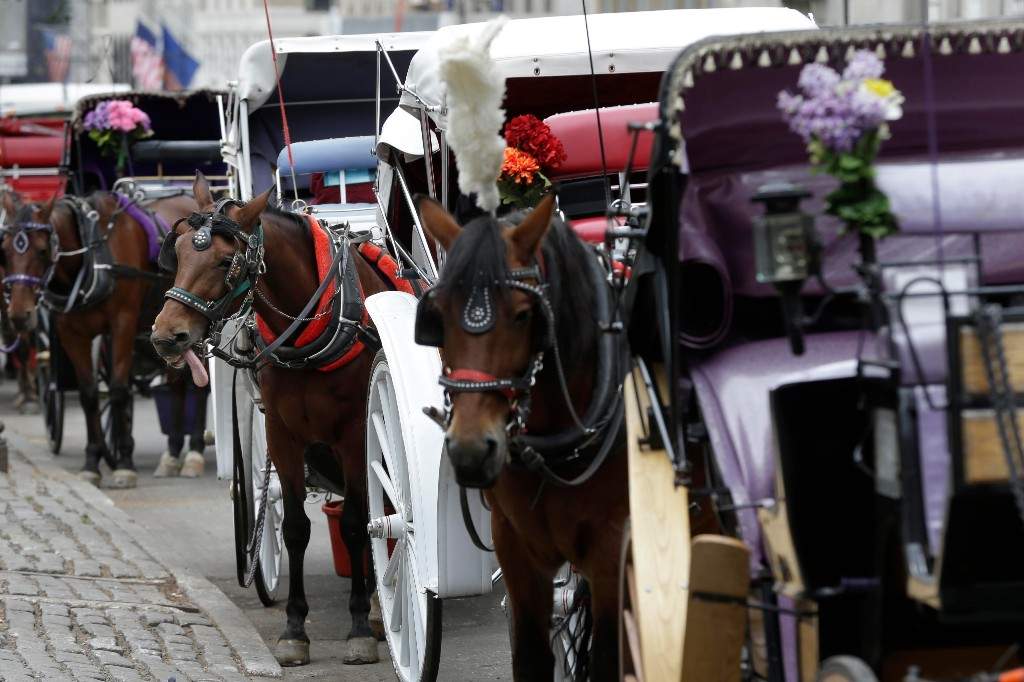 A file photo of horses and carriages waiting for customers on Oct. 23, 2013, near Central Park in New York.
